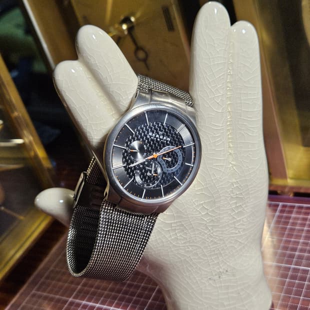 스카겐 Skagen 북유럽 감성  메쉬 시계