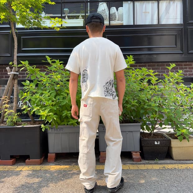 Dickies carpenter (30X30)