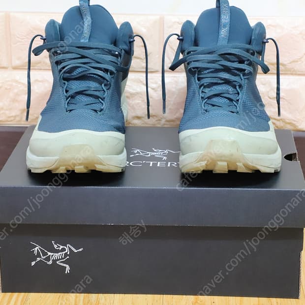 ARCTERYX AERIOS FL 2 Mid GTX (아크테릭스에어리어스