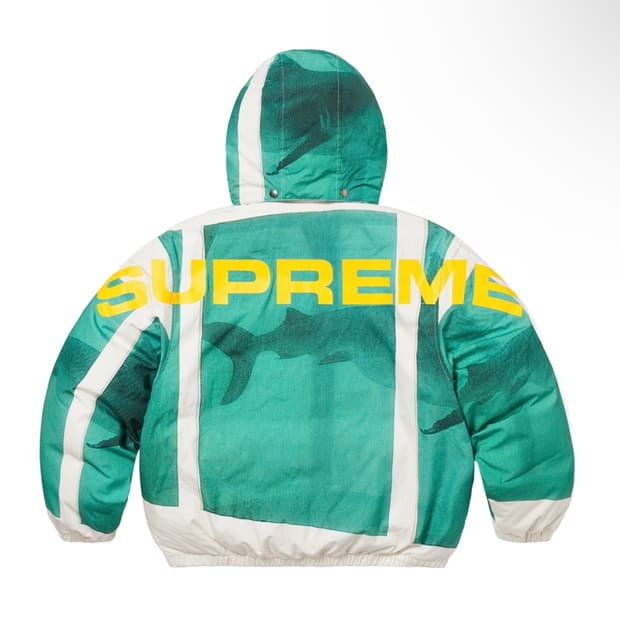 슈프림x데미안허스트 샤크 패딩 