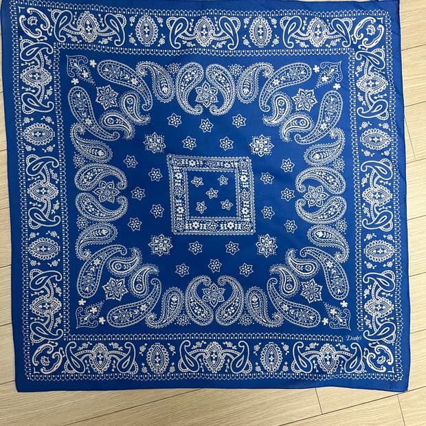 Drake's 블루 페이즐리 반다나