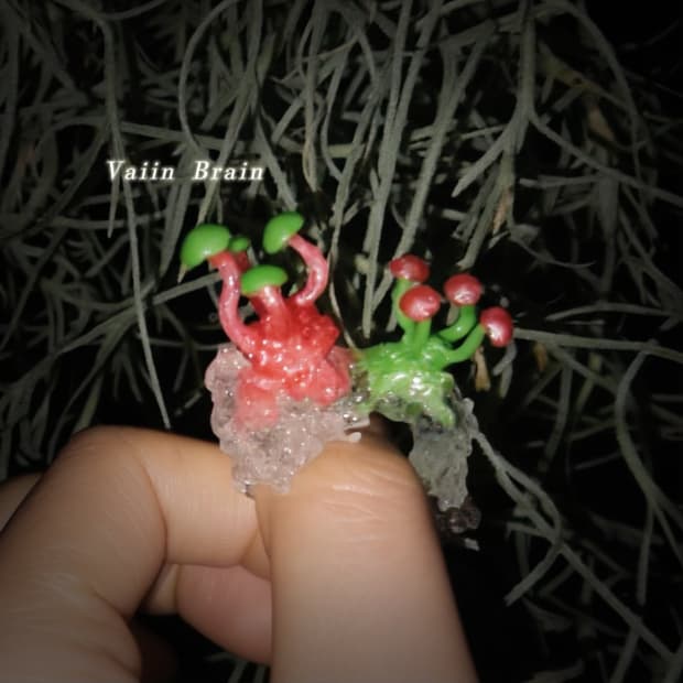 야광 버섯의 숲 🍄 magic mushroom ring