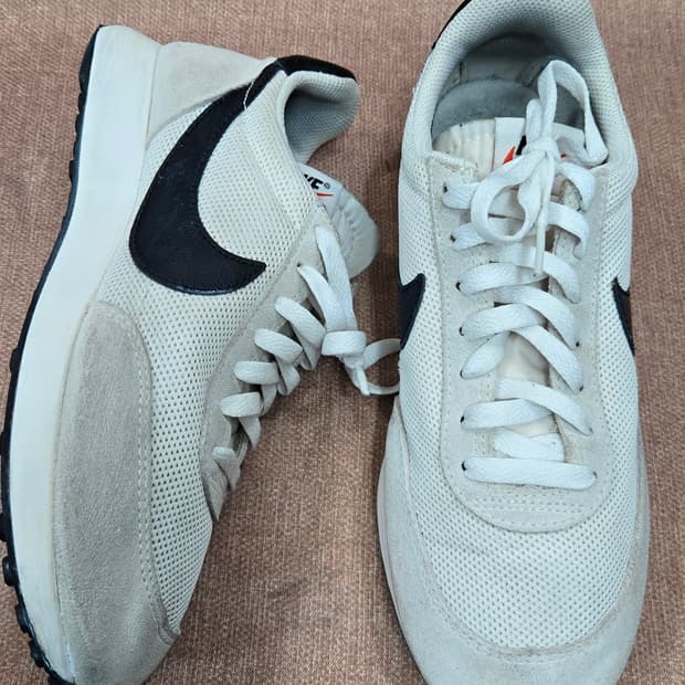 나이키250mm- 테일윈드 스니커즈 운동화