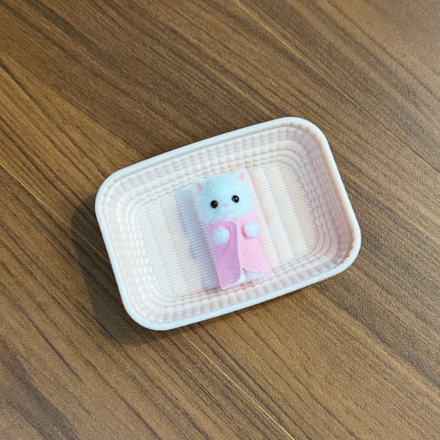 실바니안 패밀리 아기 핑크 페르시안 고양이