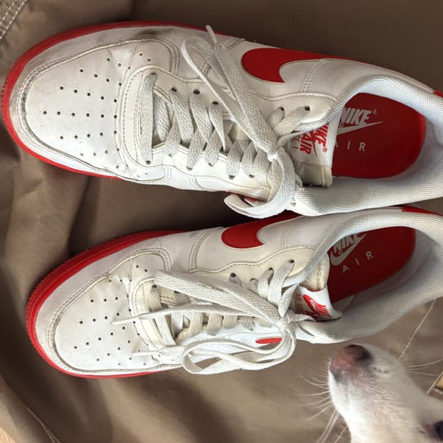 나이키 에어포스 1 로우 빨간완창 270