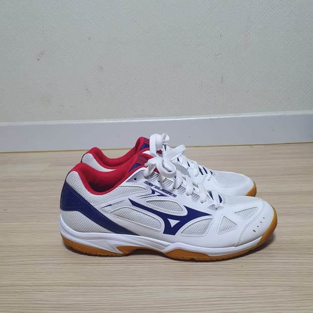미즈노 스카이블라스터 배드민턴화 270