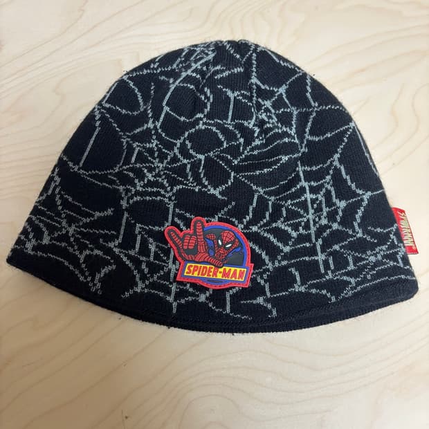 spider man 웹 비니