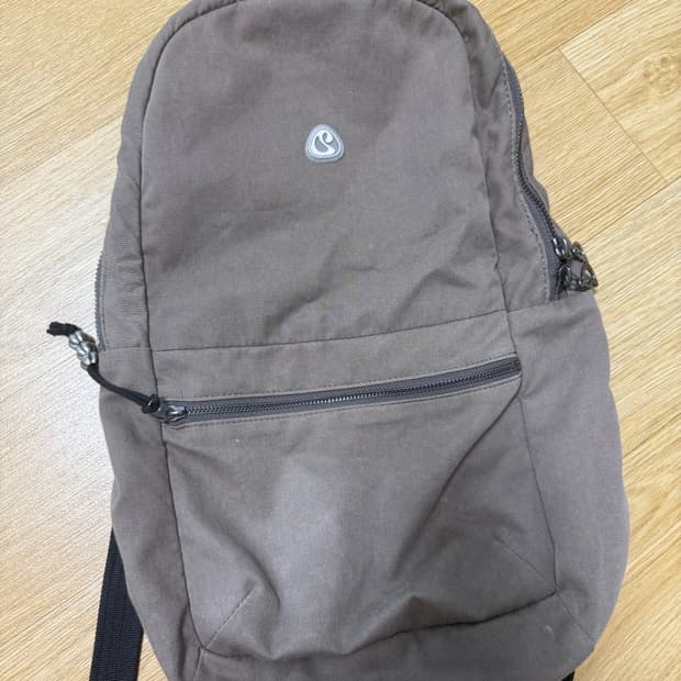 코이세이오 브라운 백팩 