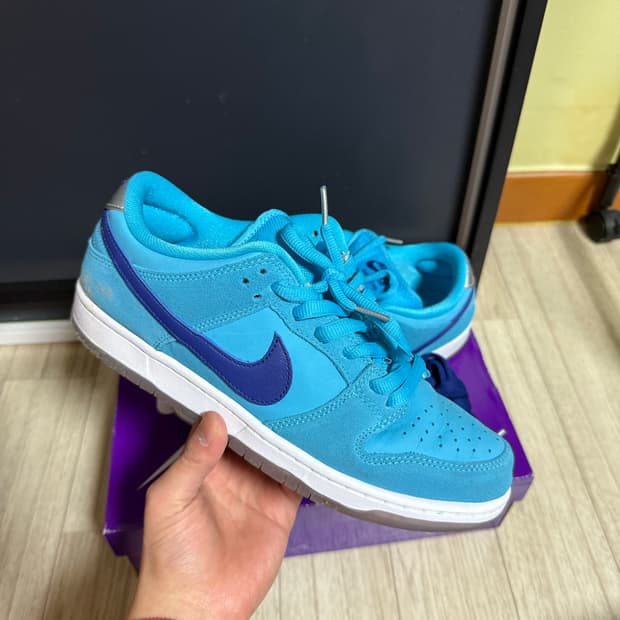 나이키 sb 덩크 로우 퓨리