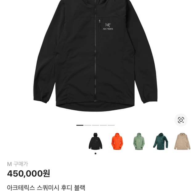 아크테릭스 스쿼미시 후디 블랙m