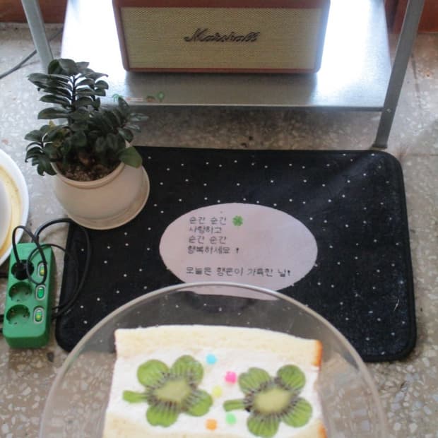 캐논 익서스 175 작례 O 희귀 매물