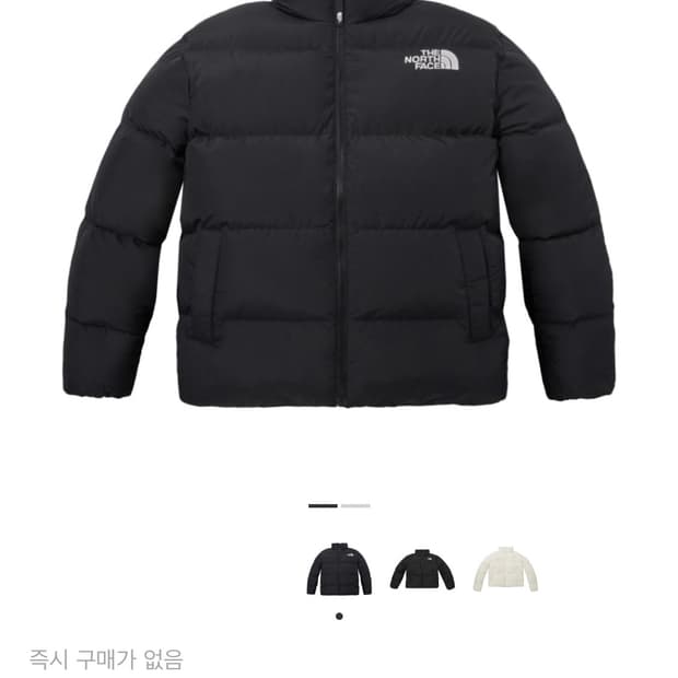 노스페이스 패딩