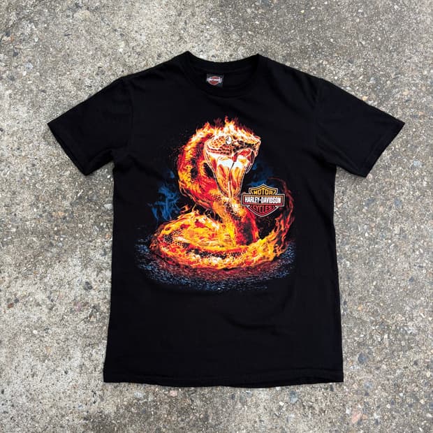 Harley Davidson Motorcycles Fire Snake T