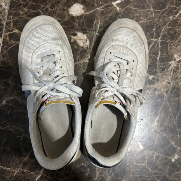 나이키 테일윈드 270