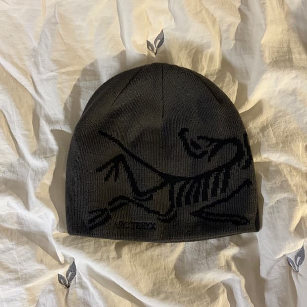 아크테릭스 비니