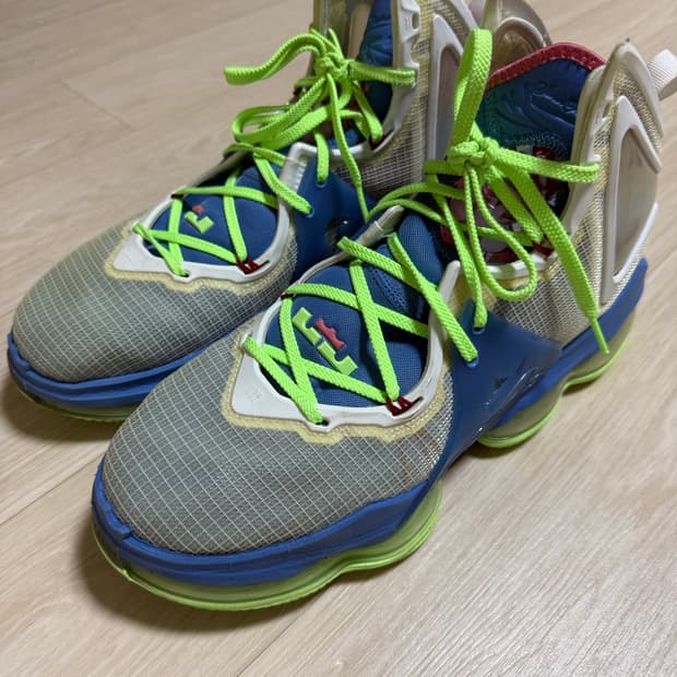 나이키 르브론 19 트로피칼 290