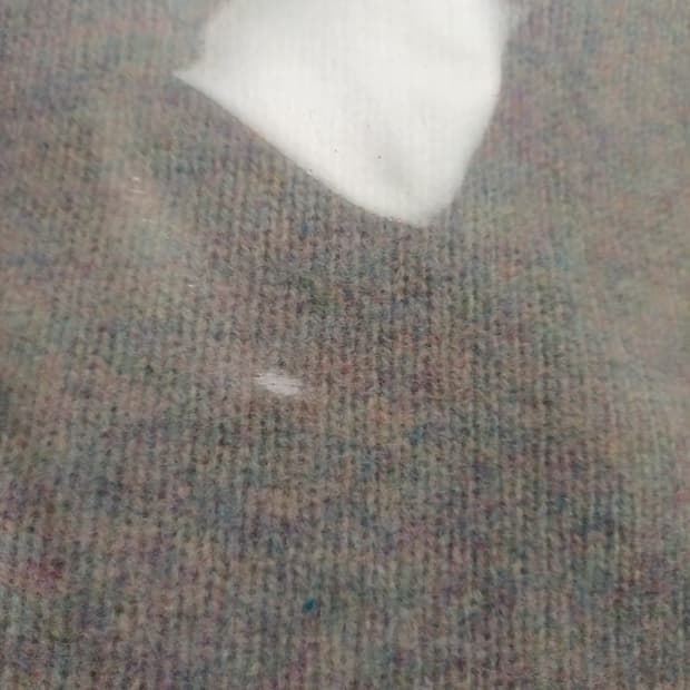 할리오브스코틀랜드 쉐기독 우기펄