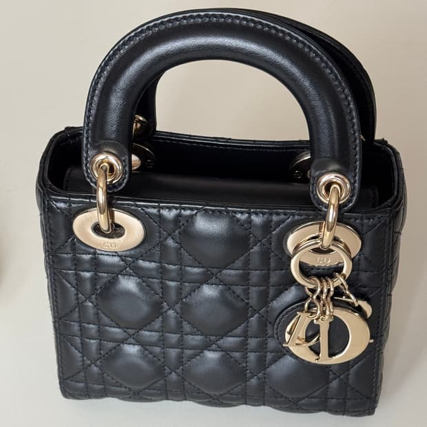 디올 레이디백 미니 체인백