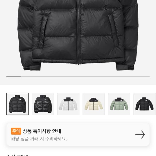노스페이스 에코눕시패딩