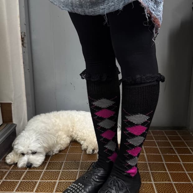 Comme des garcons 니삭스 프릴 아가일 포인트 타이즈