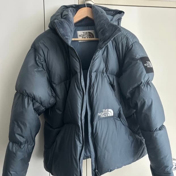 노스페이스 프로젝트 다운 패딩 블루 XL 105