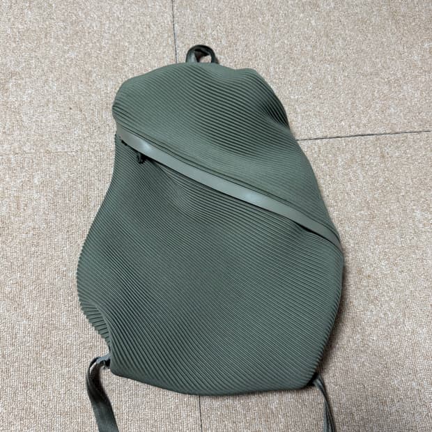 이세이미야케 백팩