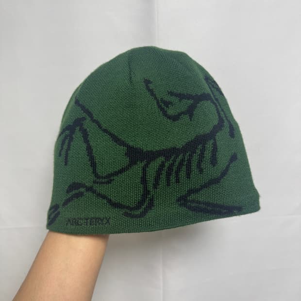 [F] 아크테릭스 버드 헤드 토크 비니 EDEN BLACK