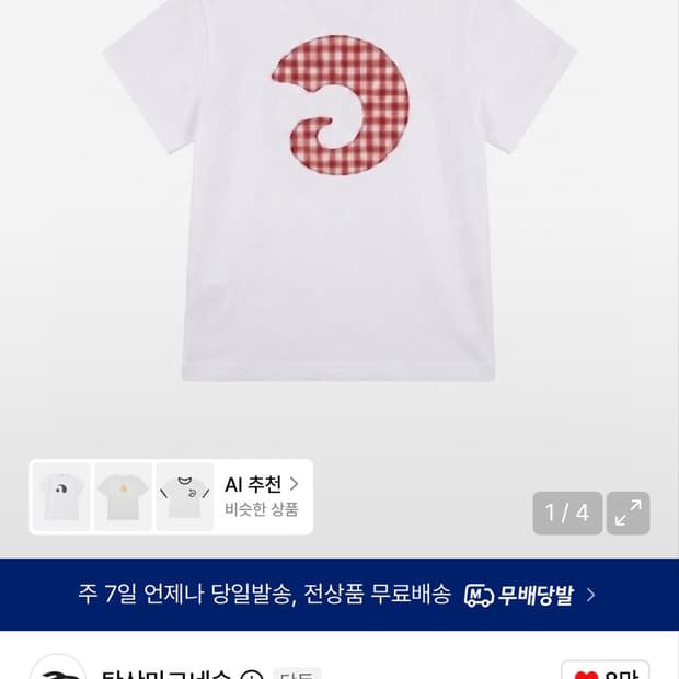 탄산마그네슘 혼 아플리케
