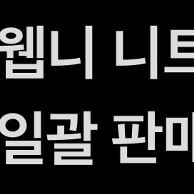 웨이비니스 브이넥 니트 2종 일괄 판매