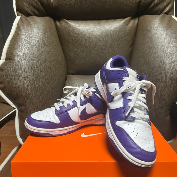나이키 덩크 색상별(울프그레이,범고래,퍼플)