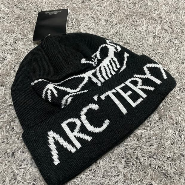 아크테릭스 비니