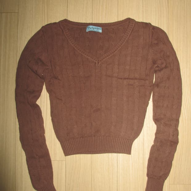 Palejade 페일제이드 브이넥 니트 브라운