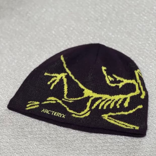 아크테릭스 비니 (Phantasm / Euphoria 컬러)