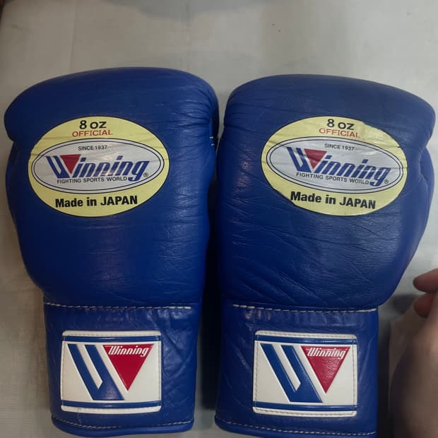 위닝 복싱 글러브 8온즈