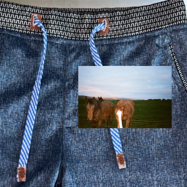 0003 - Jeju Pony Pants