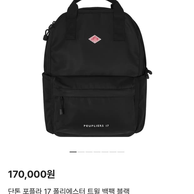 단톤 포플라 17 백팩 블랙