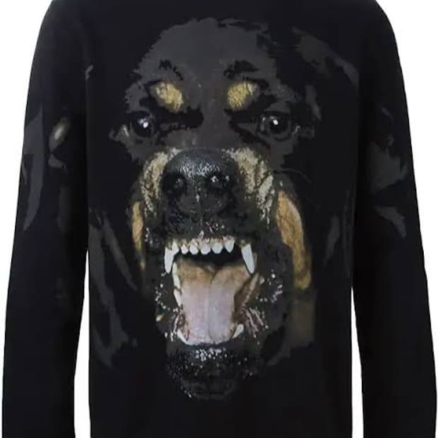 지방시 로트와일러 맨투맨 사이즈 m