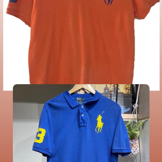 폴로 빅포니 카라티 일괄6