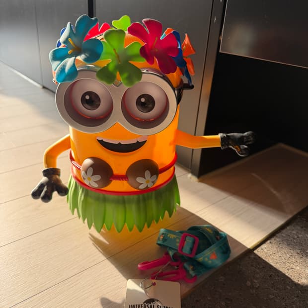 유니버셜스튜디오 알로하 미니언즈 팝콘통