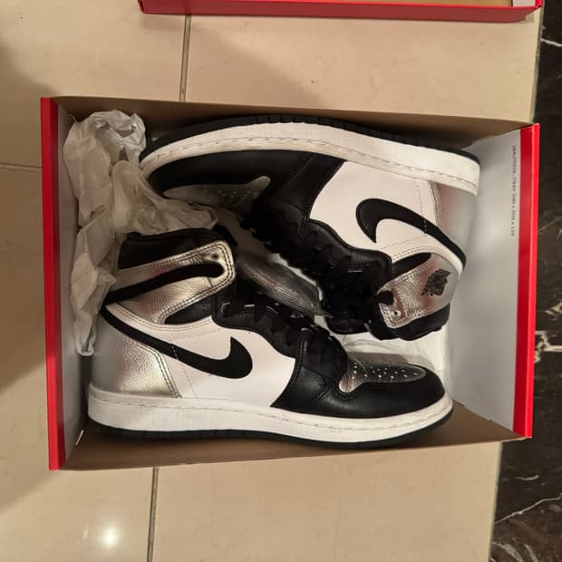 Air Jordan 1 Retro High OG 실버 230