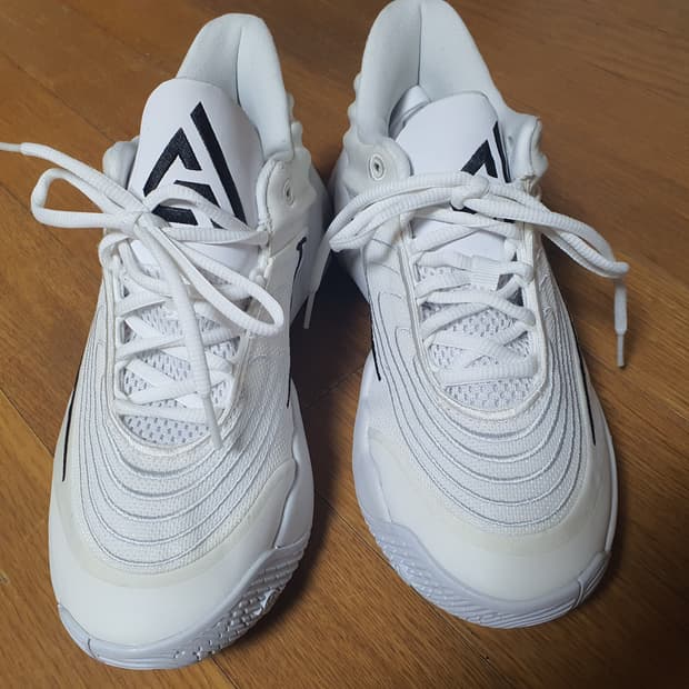 나이키 야니스 화이트 250