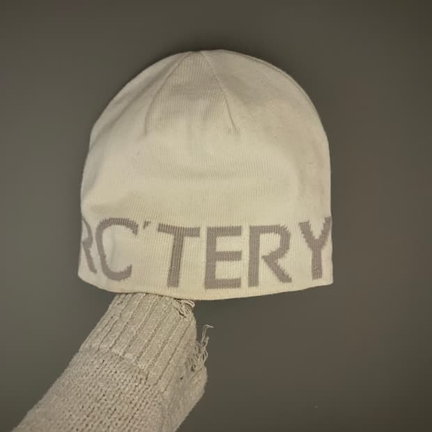 아크테릭스 비니