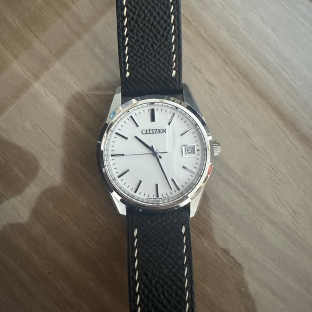 더 시티즌 A660-H25161 (The Citizen HAQ 퍼페추얼