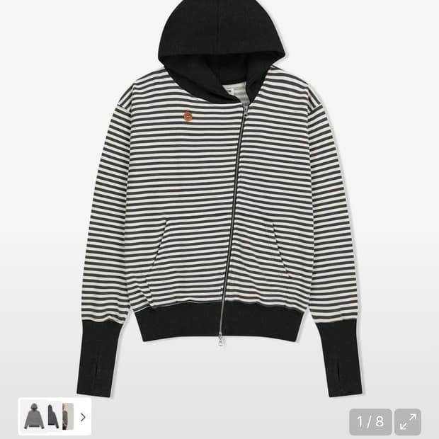 더뮤지엄비지터 후드집업