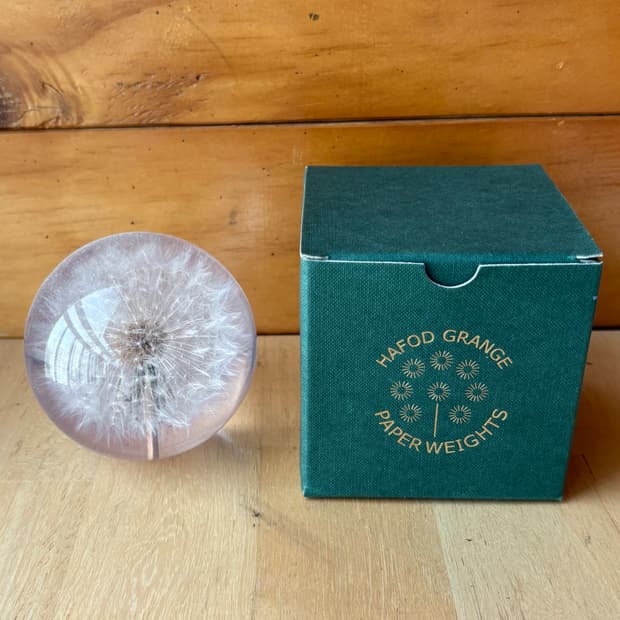 HAFOD GRANGE 민들레 문진 페이퍼웨이트 