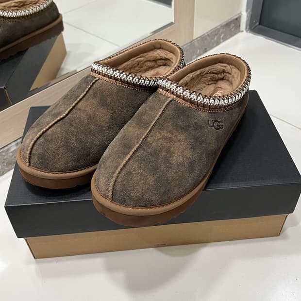 어그 타스만 박스터 체스트넛 270