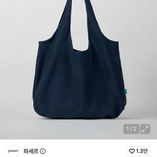 파세르 네이비 백
