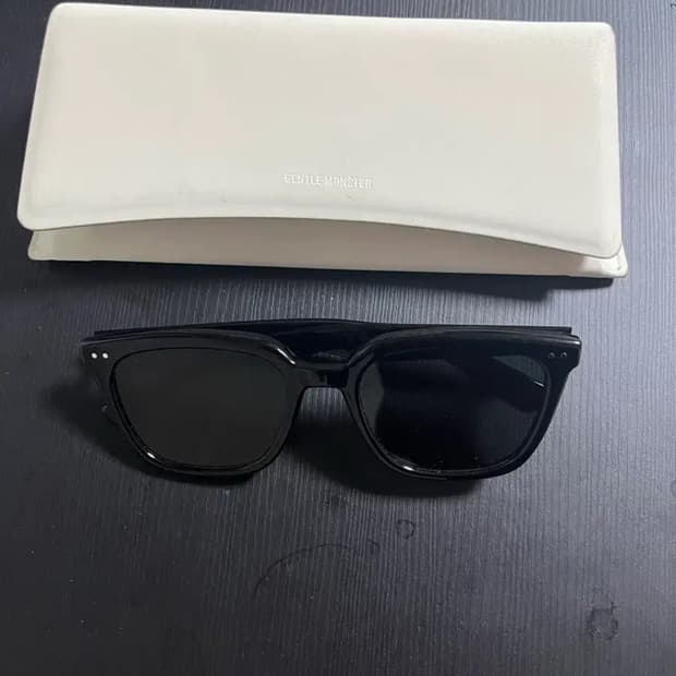 젠틀몬스터 NOMA 선글라스