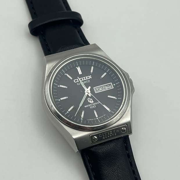 시티즌 빈티지 데이데이트