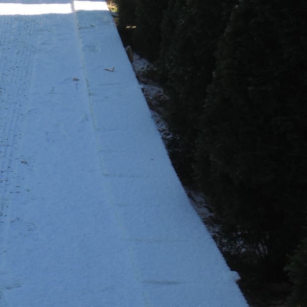 캐논코리아 익서스ixus 70 ixy 10 빈티지 디지털 카메라